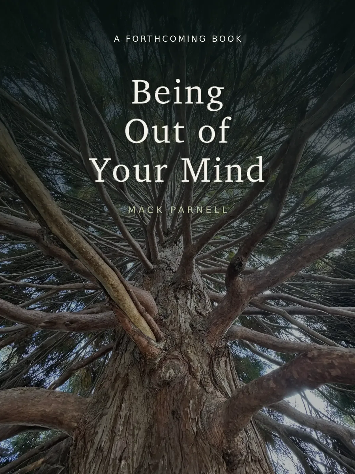Being Out of Your Mind, a forthcoming book by Mack Parnell